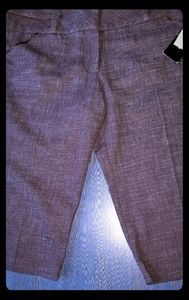 My Michelle Knee Length Dress Shorts